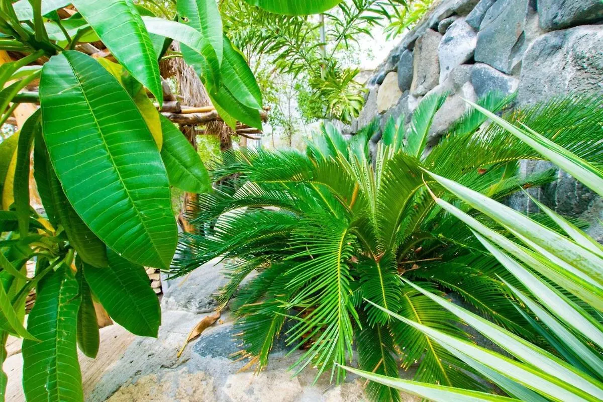 Villa Onyx-- A Gem At Dee'S Pearl à Carriacou