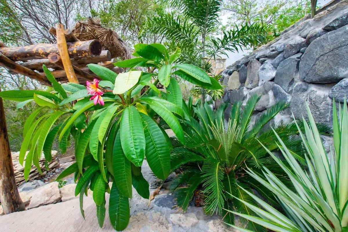 Willa Onyx-- A Gem At Dee'S Pearl Carriacou Grenada